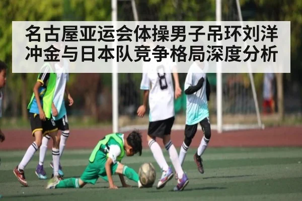 名古屋亚运会体操男子吊环刘洋冲金与日本队竞争格局深度分析 - kaiyun
